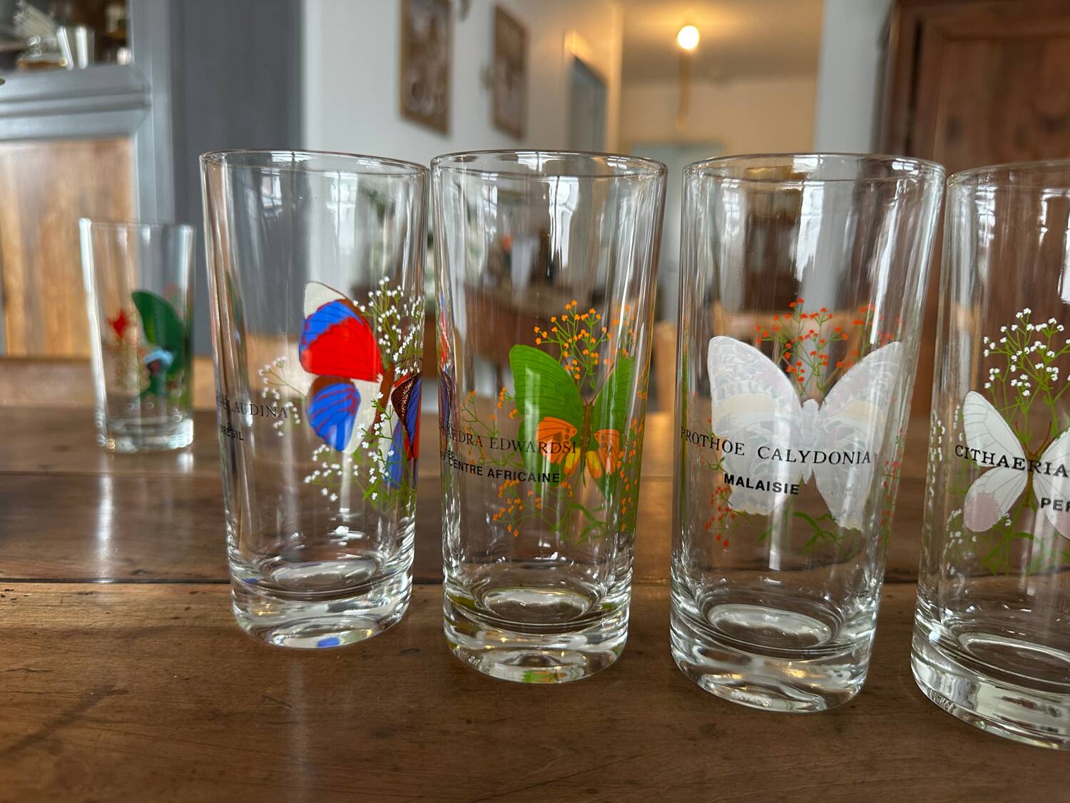 Set of 6 vintage glasses with butterfly decoration – 70s/80s
