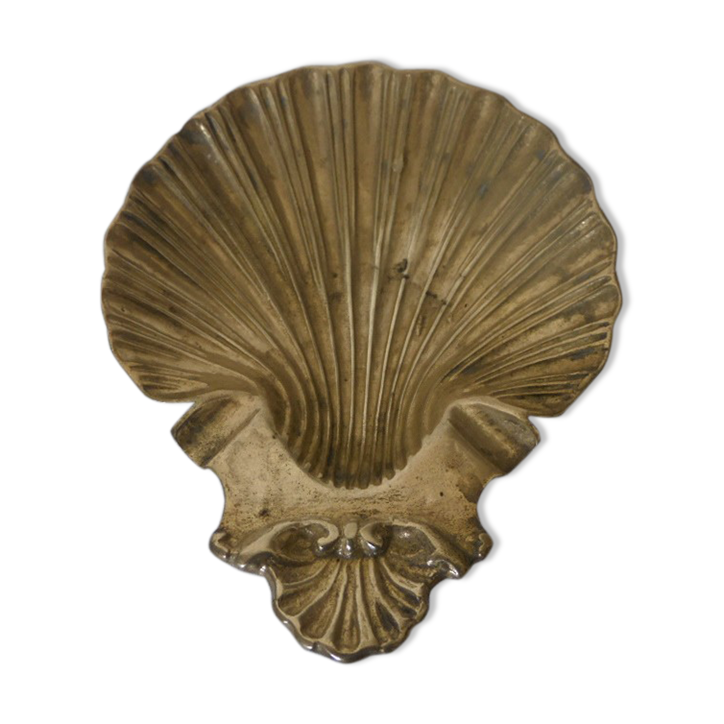 Empty pocket st Jacques shell