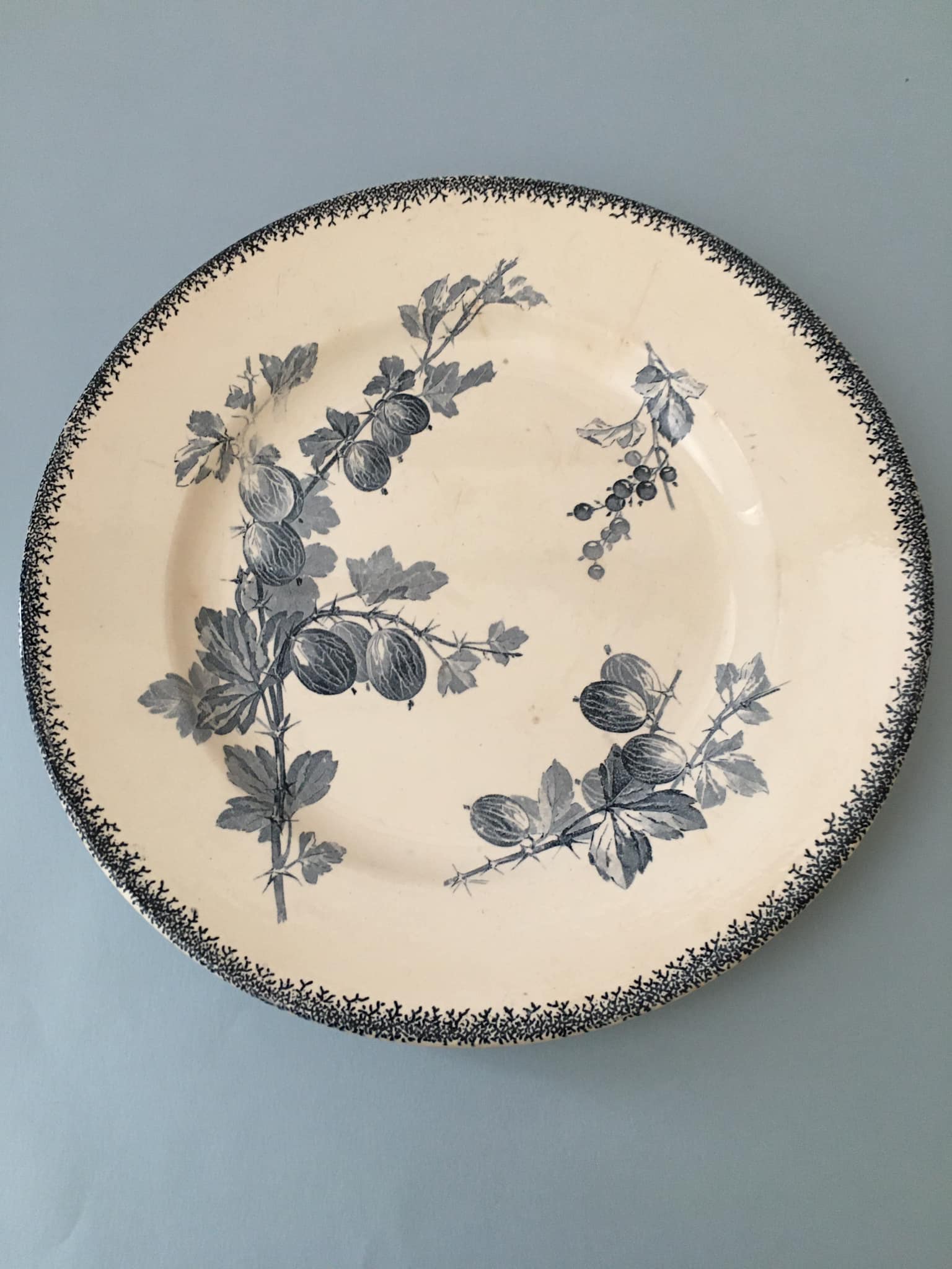 Faience serving dish stamped U & CIE - Sarreguemines, Gooseberry model