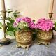 Pair of caches pots in brass repelled nineteenth century