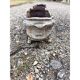 Pair of cast iron planters from 1900 in Charleville - Mézières