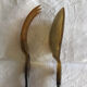 Old corn and silver salad cutlery