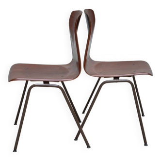 Paire de chaises pagholz 1960