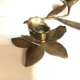 Brass candlesticks