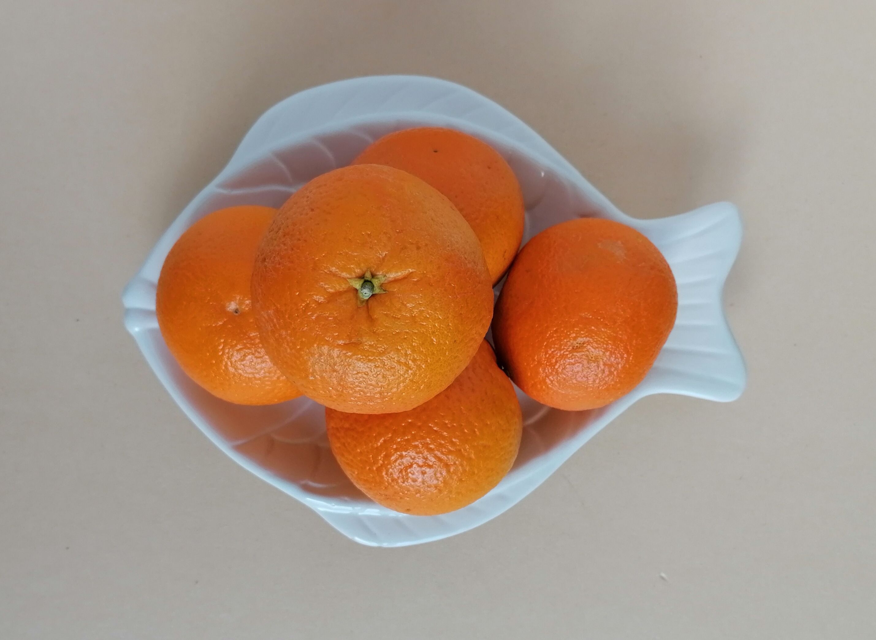 Delight fish or empty pocket