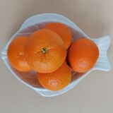 Delight fish or empty pocket