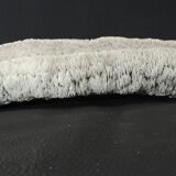 White coral cushion shark, vanuatu, papua new guinea
