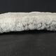 White coral cushion shark, vanuatu, papua new guinea