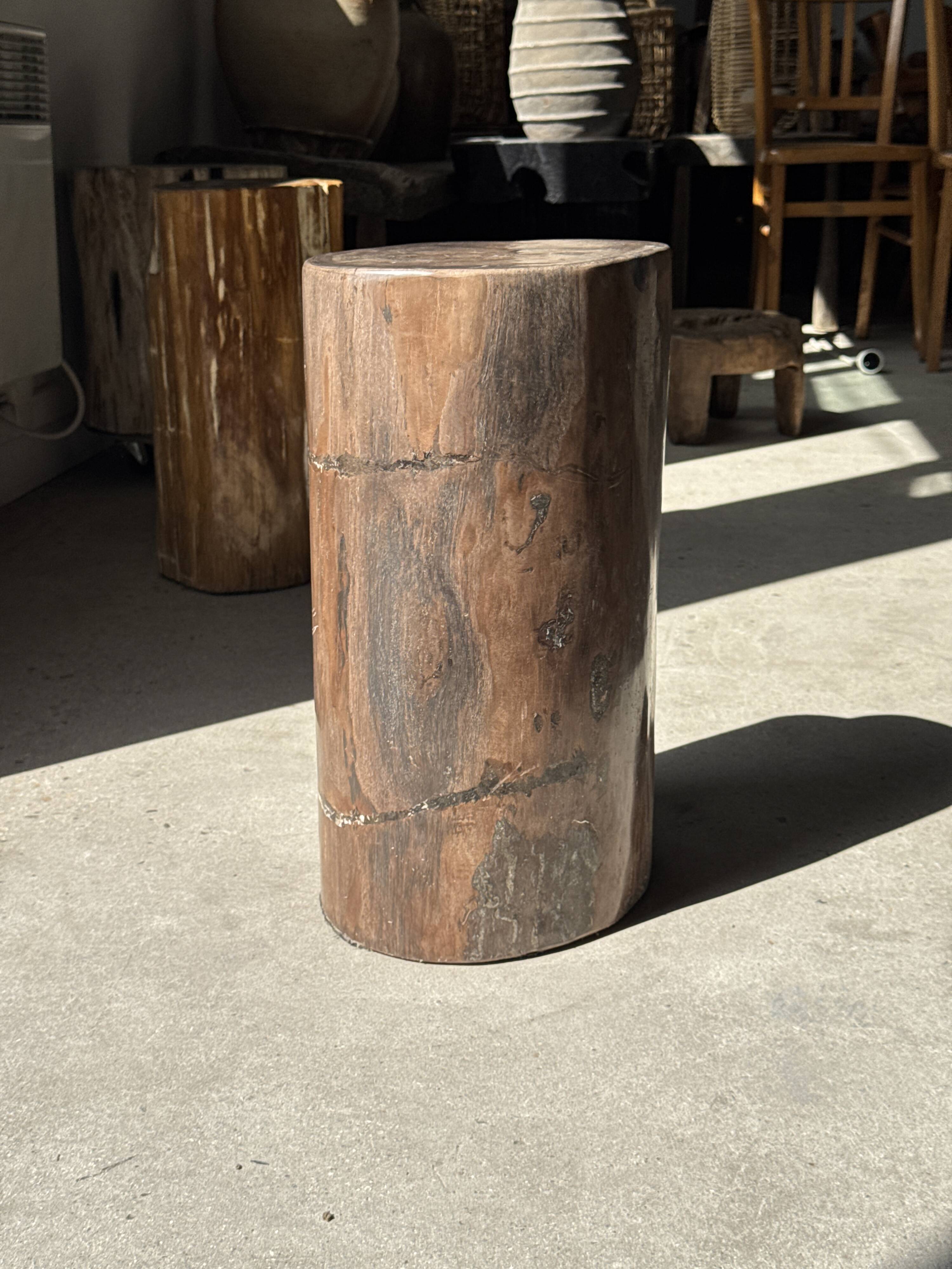 Table d'appoint en bois pétrifié brune H46 D29 - 3338