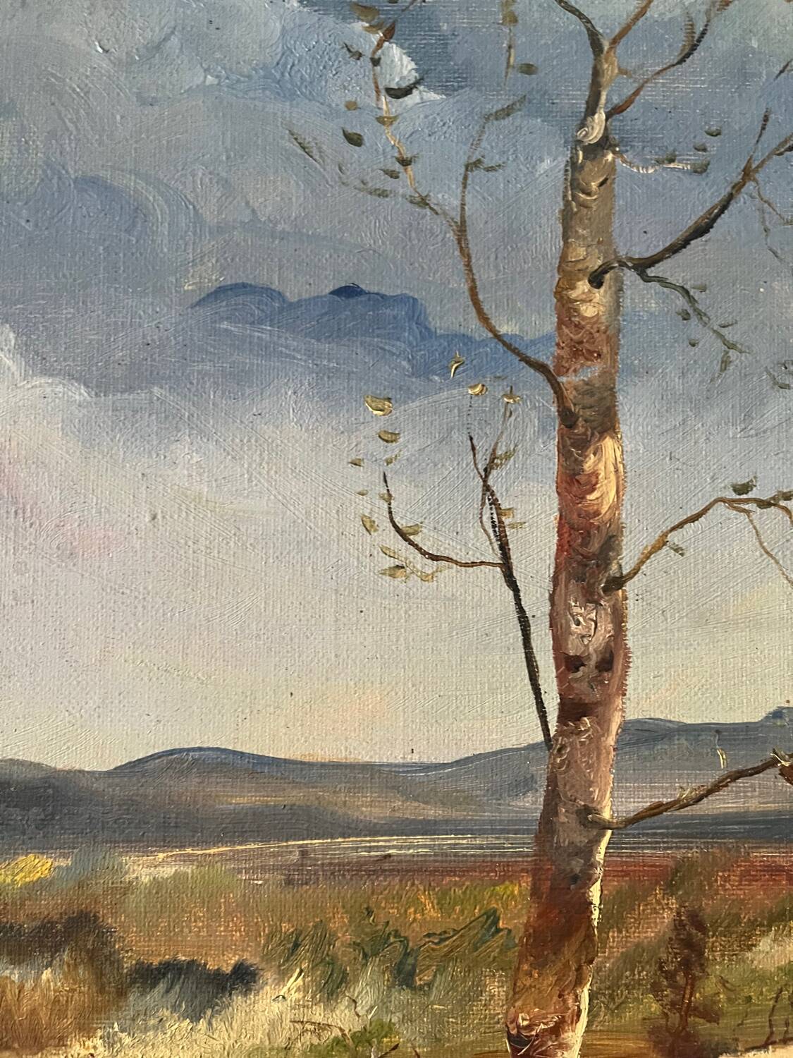 Spring landscape with tree, signed