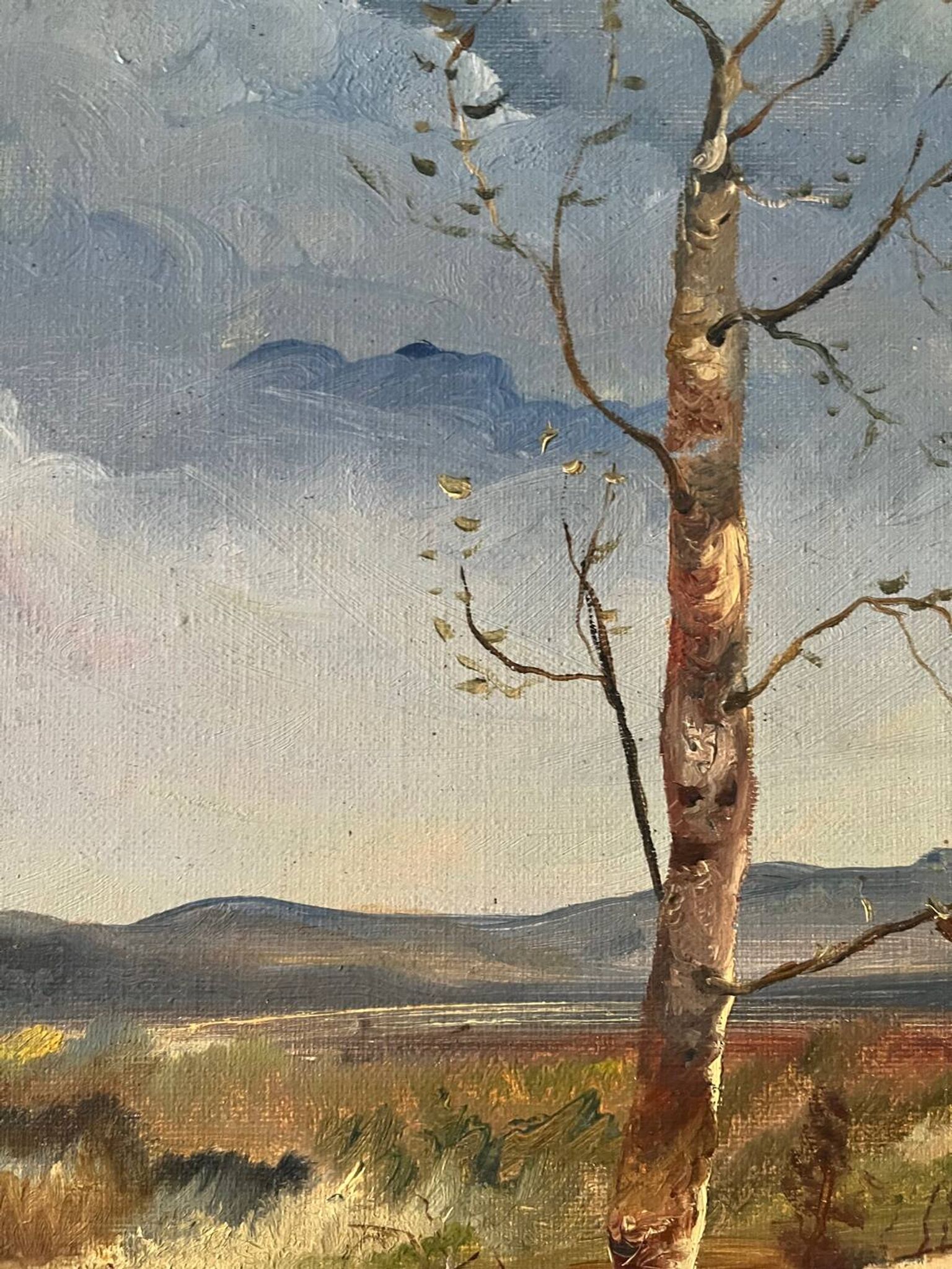 Paysage de printemps avec arbre, signé