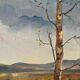 Paysage de printemps avec arbre, signé