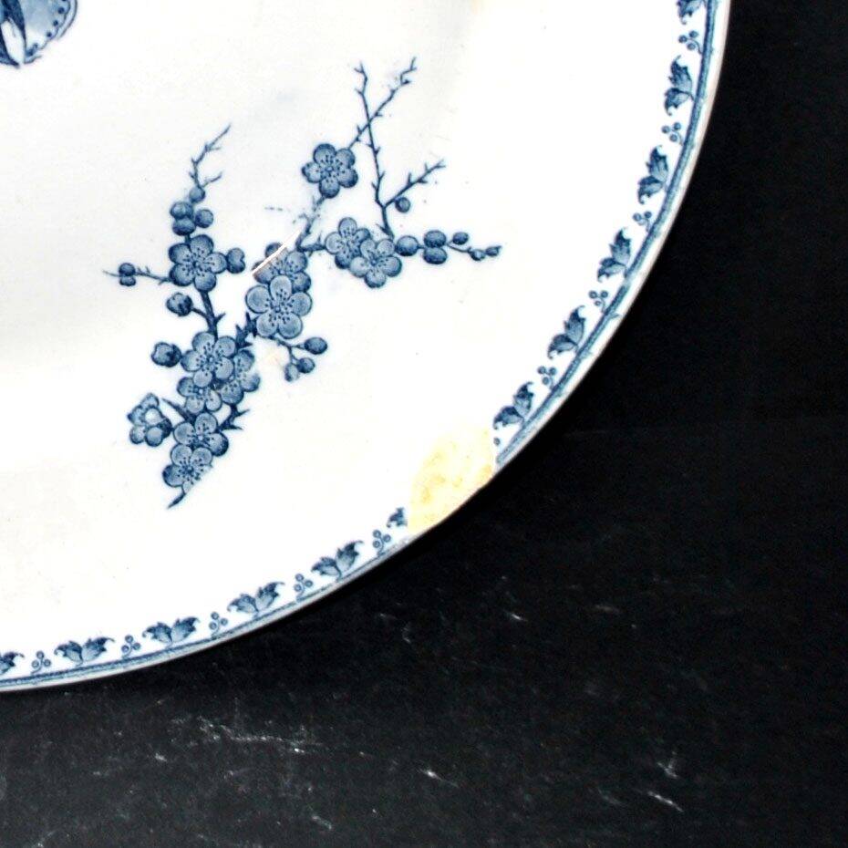 Sarreguemines round plate CARMEN blue butterfly dragonfly earthenware ironstone