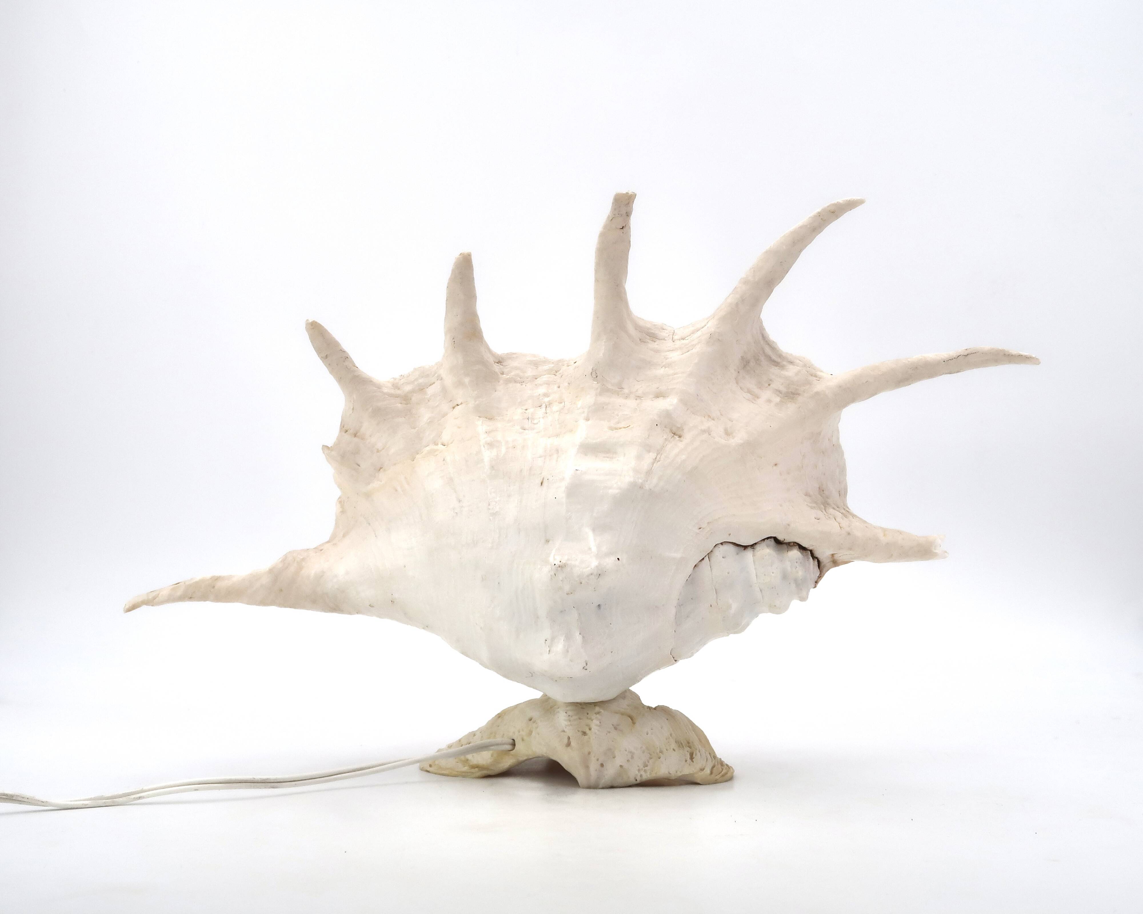 Accent lamp made of natural white shells, 1960s.