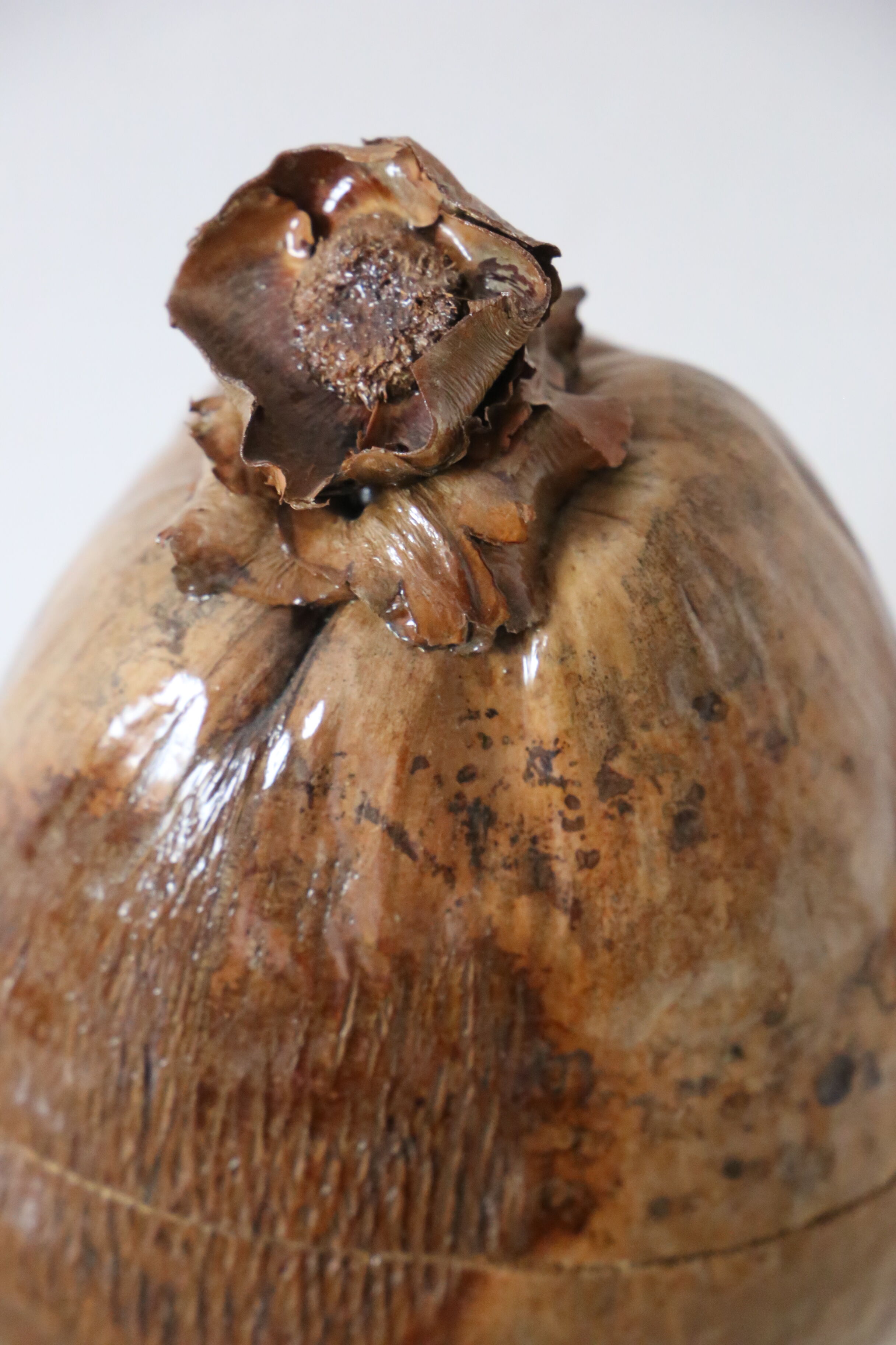 Ice bucket, or pretty coconut box, nature decoration, exotic