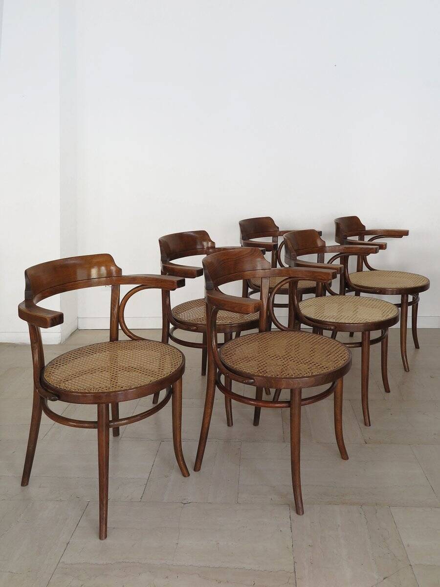 Vintage Chairs by Michael Thonet for Thonet, 1930s, Set of 6