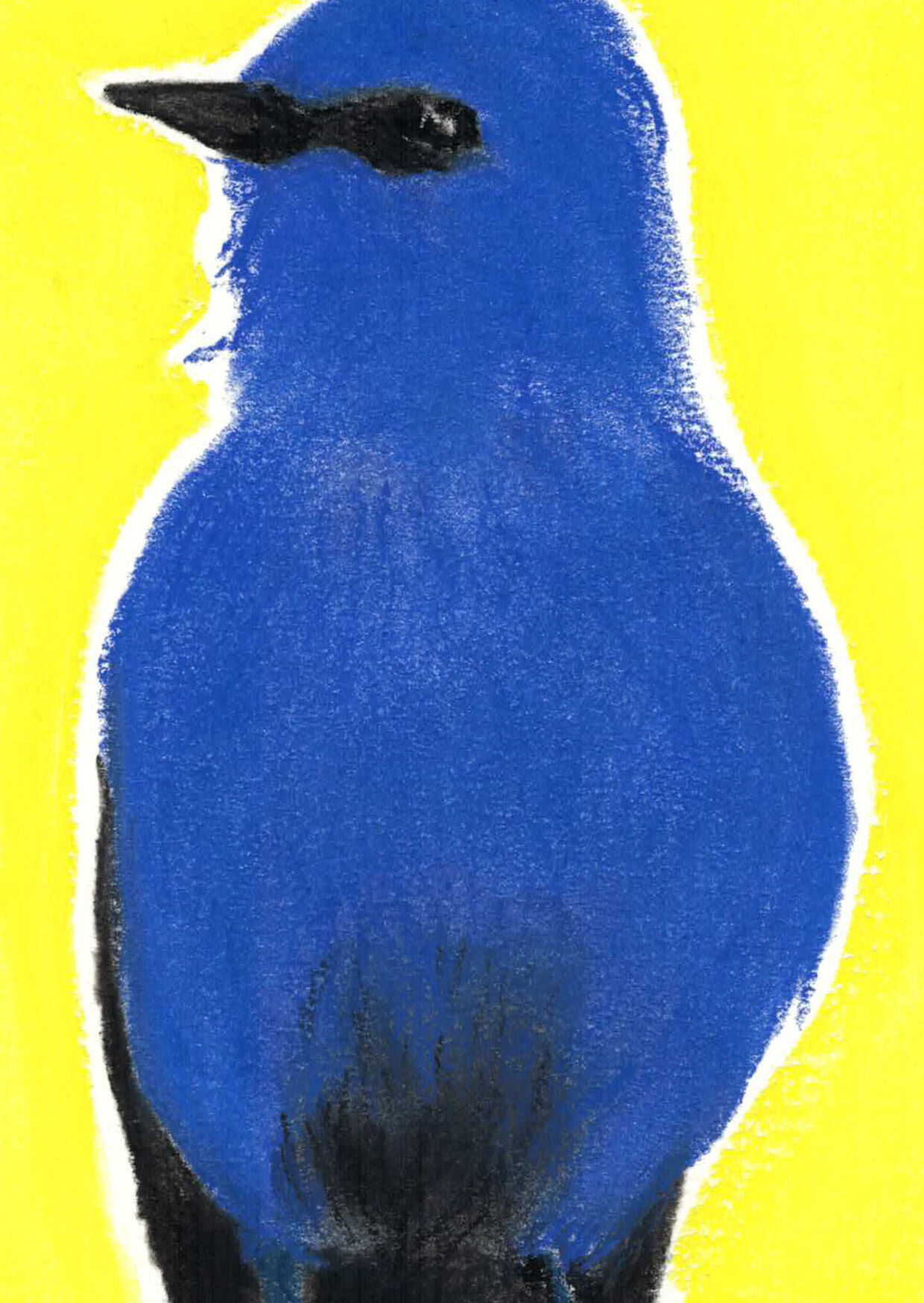 Oiseau "Grandala" dessin original