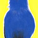 Oiseau "Grandala" dessin original