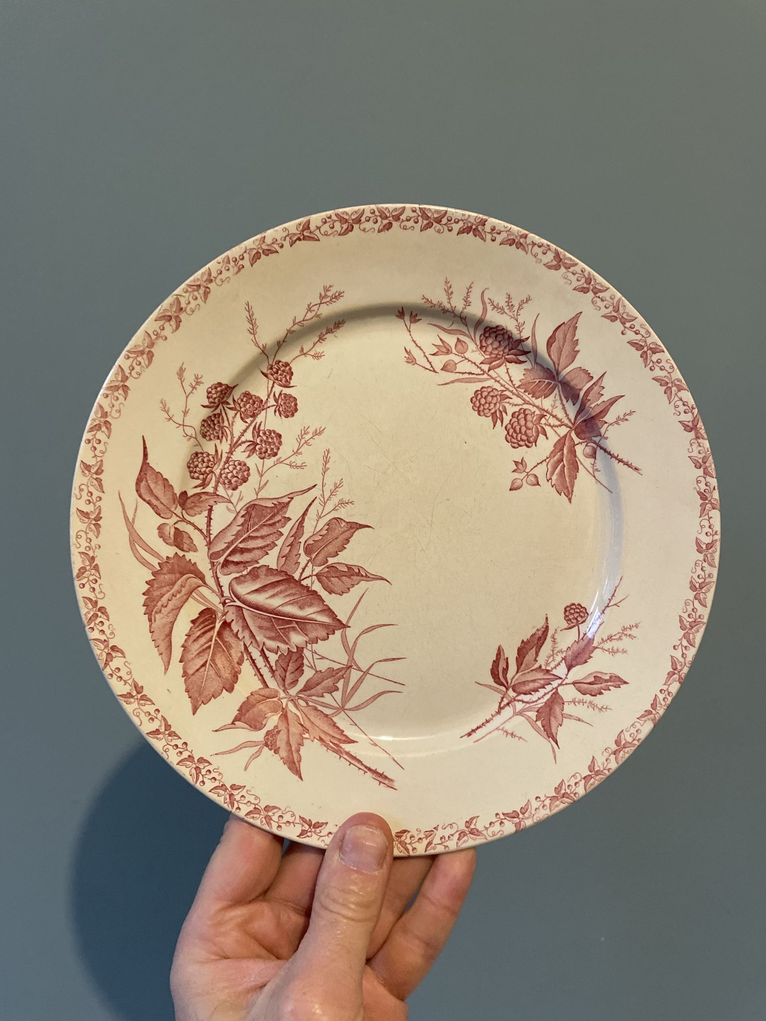 Set of 4 old flat plates Terre de Fer, earthenware of Badonviller