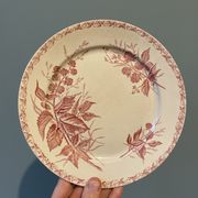Set of 4 old flat plates Terre de Fer, earthenware of Badonviller