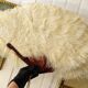 Large EVENTAIL in ostrich feather and scaled frame, nineteenth