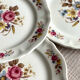 5 dessert plates Orchies Moulin des Loups