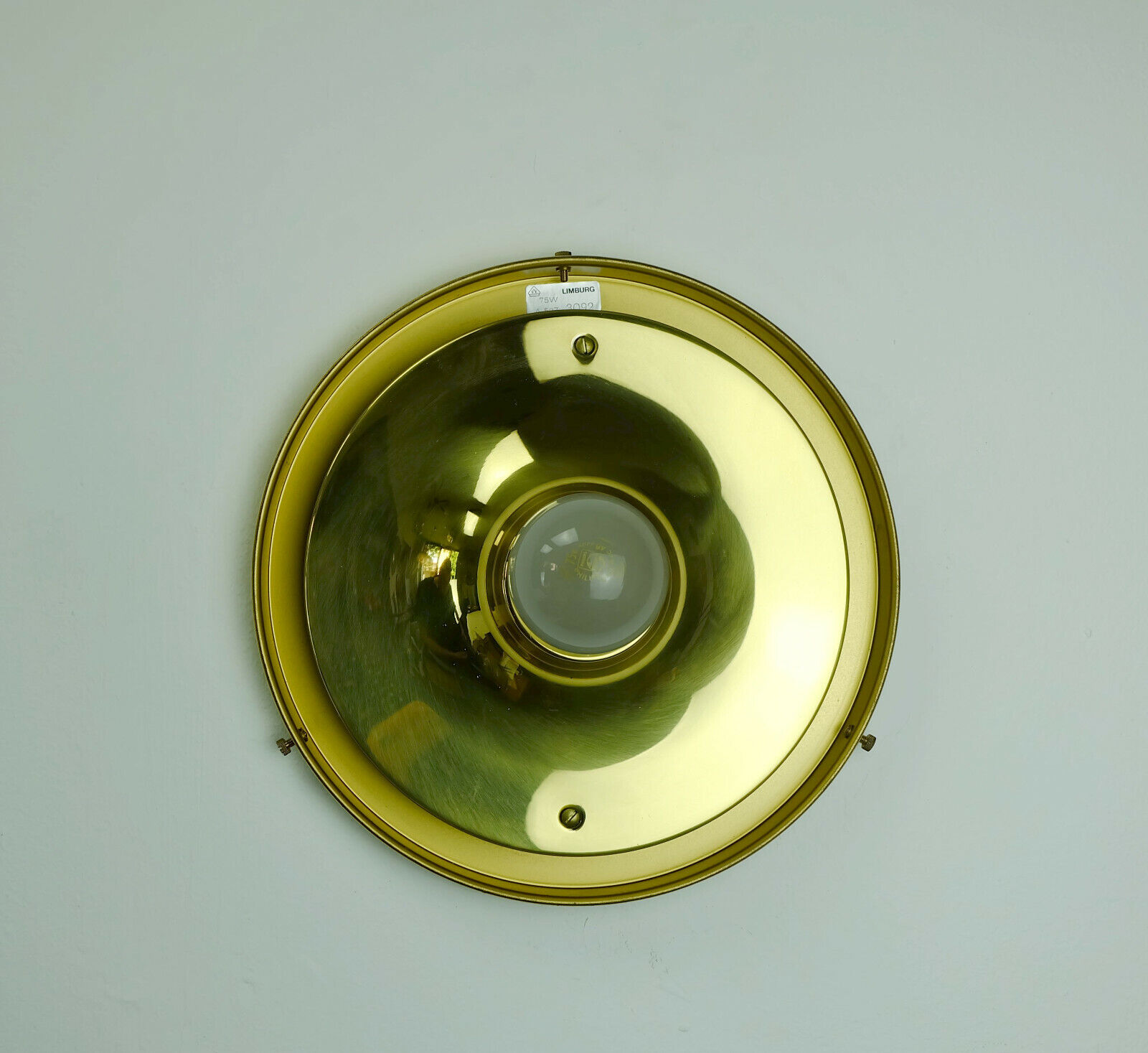 vintage 1960s 70s glashuette limburg CEILING LAMP bubble glass shade and brass