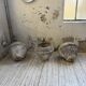 Trio of stone and cement planters, early 1900s