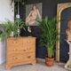 Pine chest of drawers