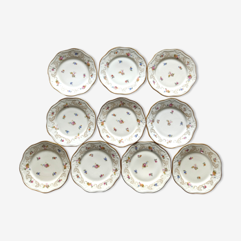 10 assiettes en porcelaine fleurie, veb r reichenbach