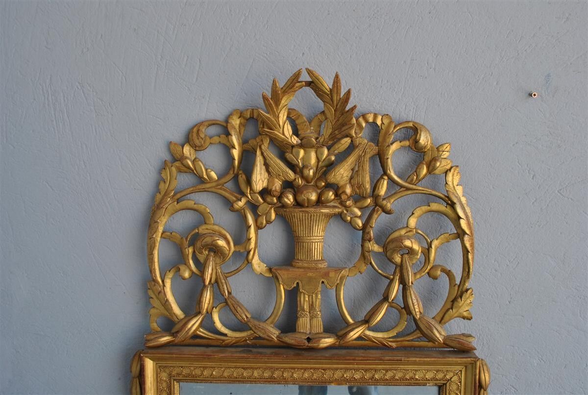 Mirror wooden Gold Louis XVI era XIX 72x152cm