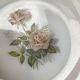 Set of 6 Arcopal Rose de France dessert plates