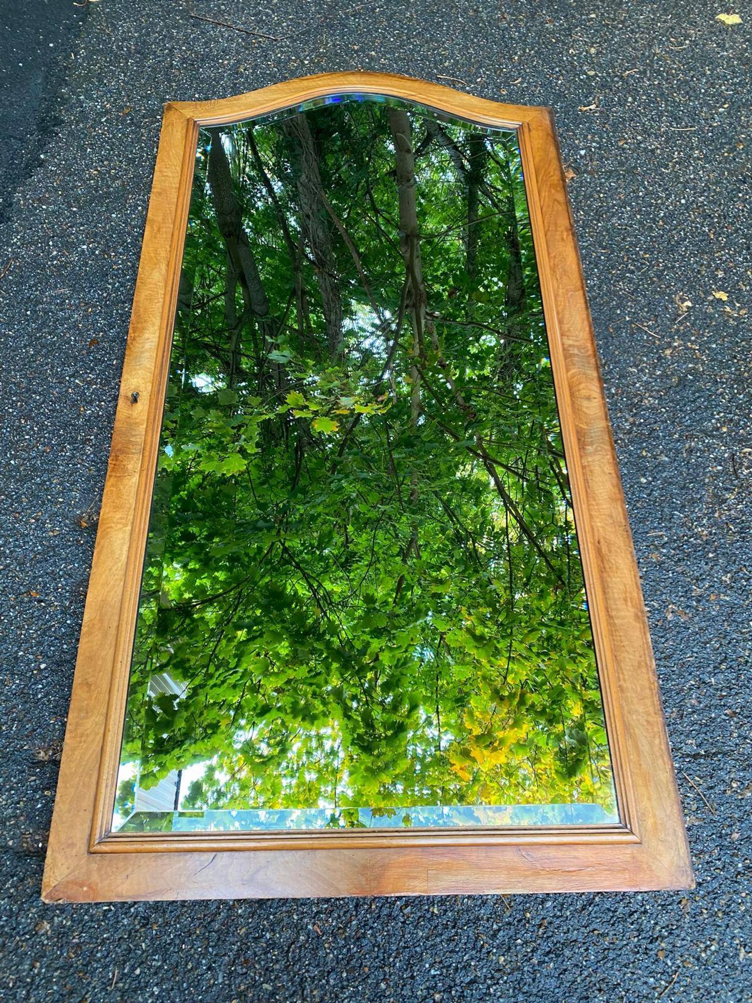 Louis XV beveled mirror in concave burr walnut 85x165cm