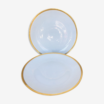 Pair of circular porcelain dishes