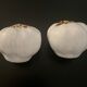 1 salt shaker and 1 pepper white garlic shape