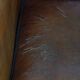 Vintage Sheepskin Leather Art Deco Style Design Armchair