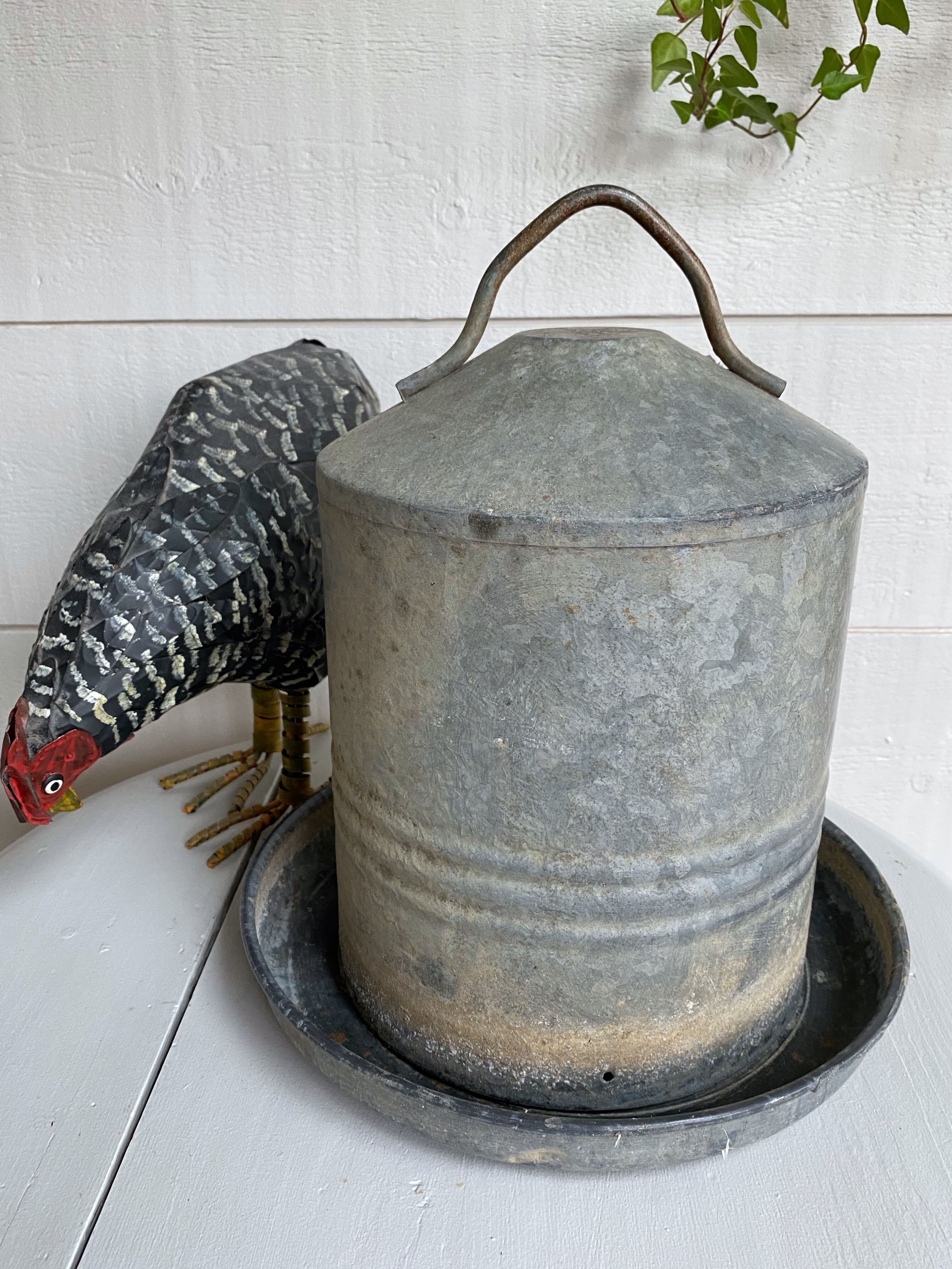 Zinc bird drinker