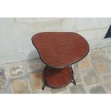 Door Brown formica plant