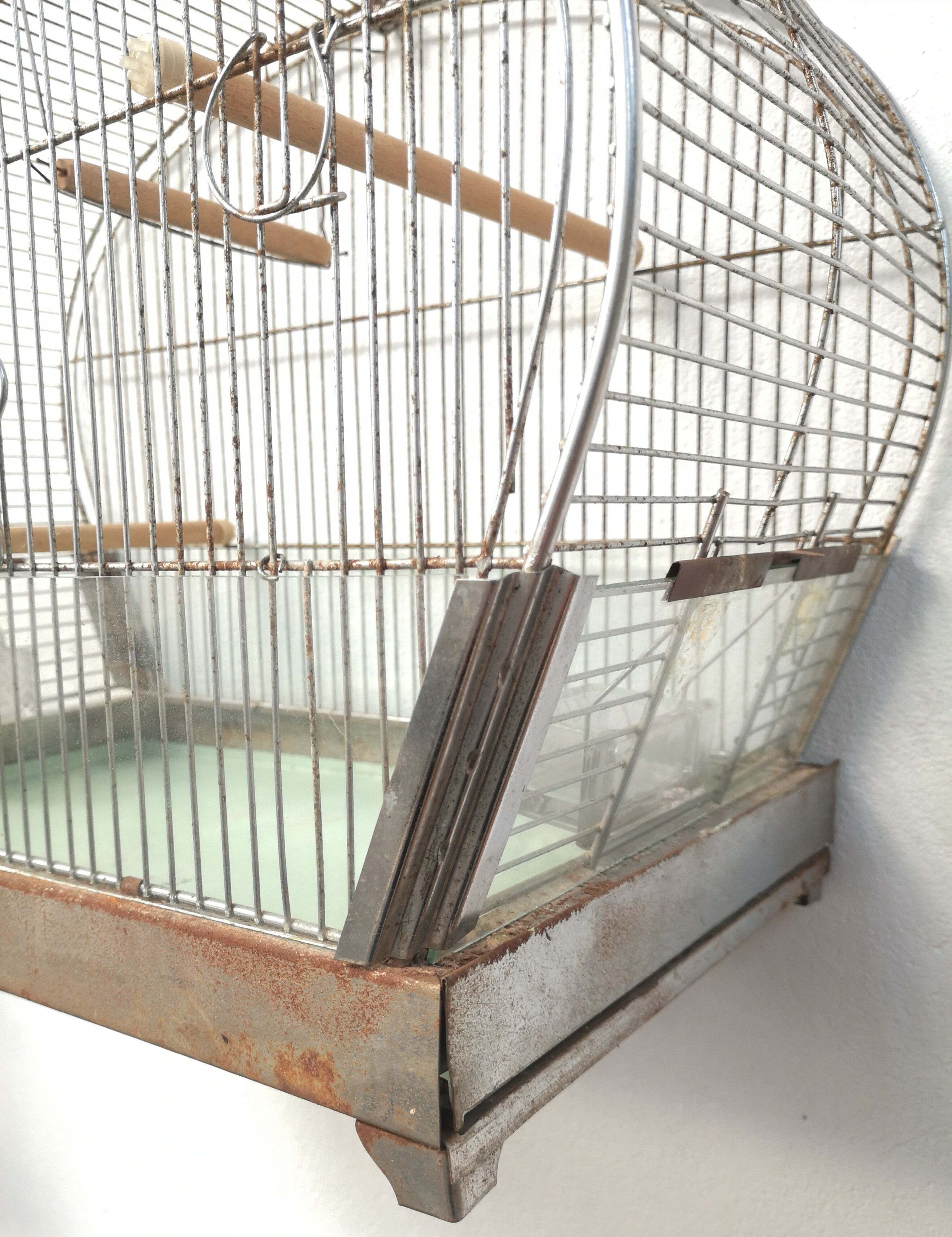 30 year old bird cage
