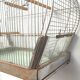 30 year old bird cage