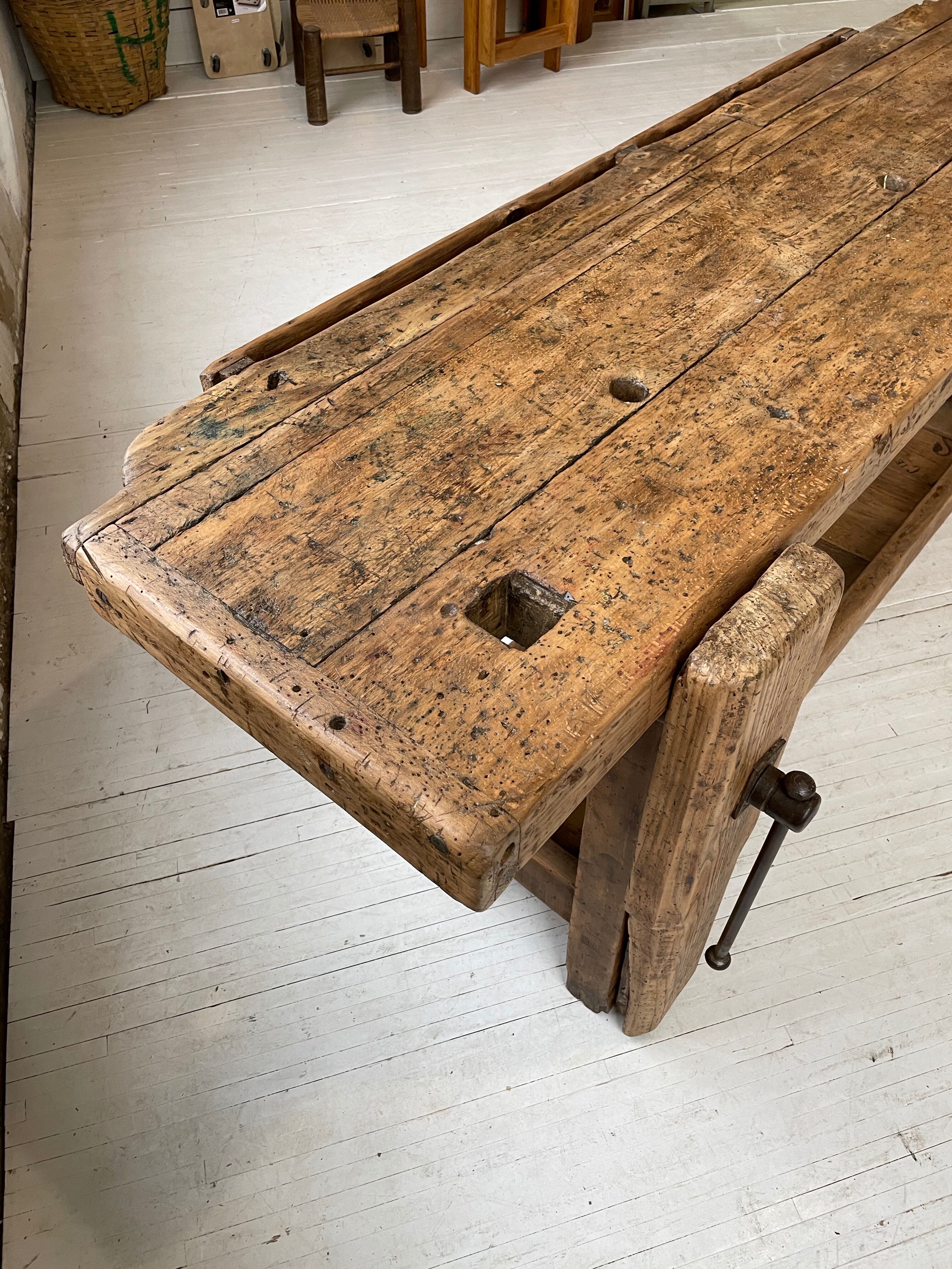 Established old oak XL