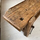 Established old oak XL