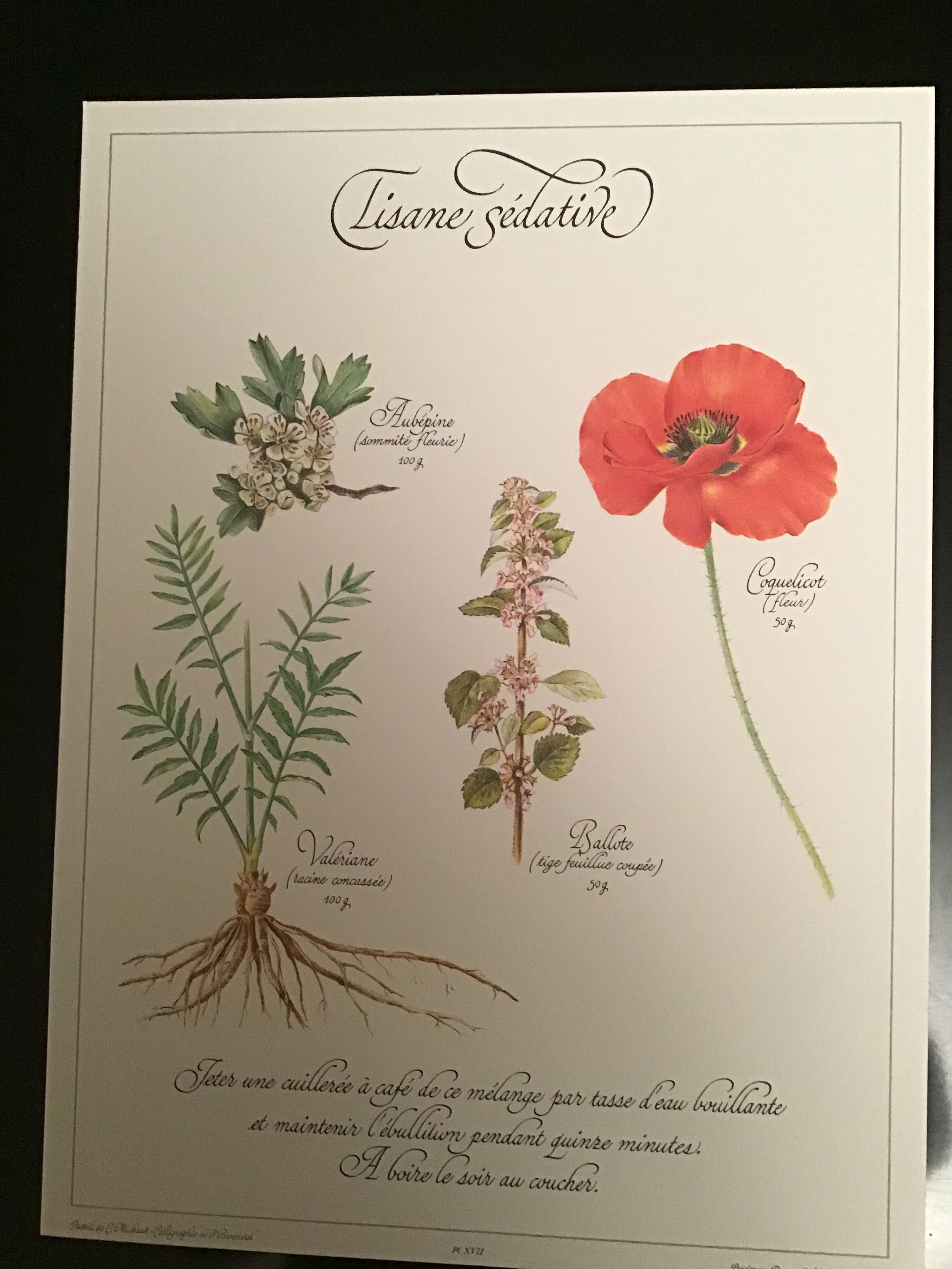 Lot posters ready herbal