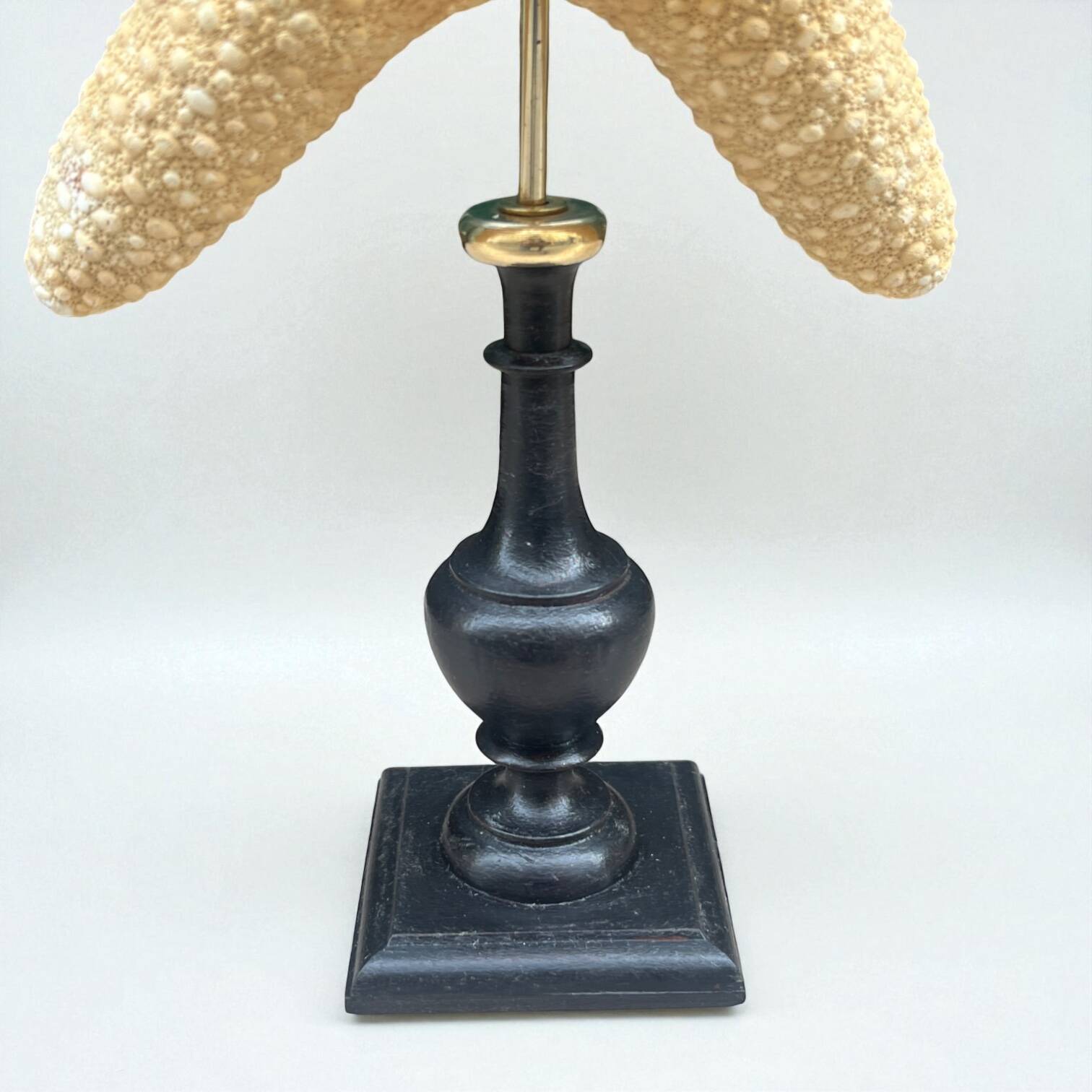 Starfish on a turned wooden base, late 19th century - cabinet of curiosities