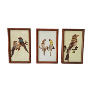 Lot de 3 tableaux composition - ailes