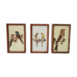 Set of 3 paintings featuring butterfly wing compositions.