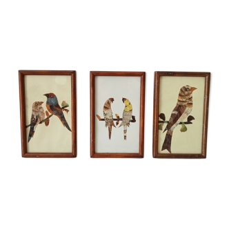 Set of 3 paintings featuring butterfly wing compositions.
