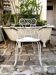 Fauteuil de jardin en fonte de fer blanche n°3
