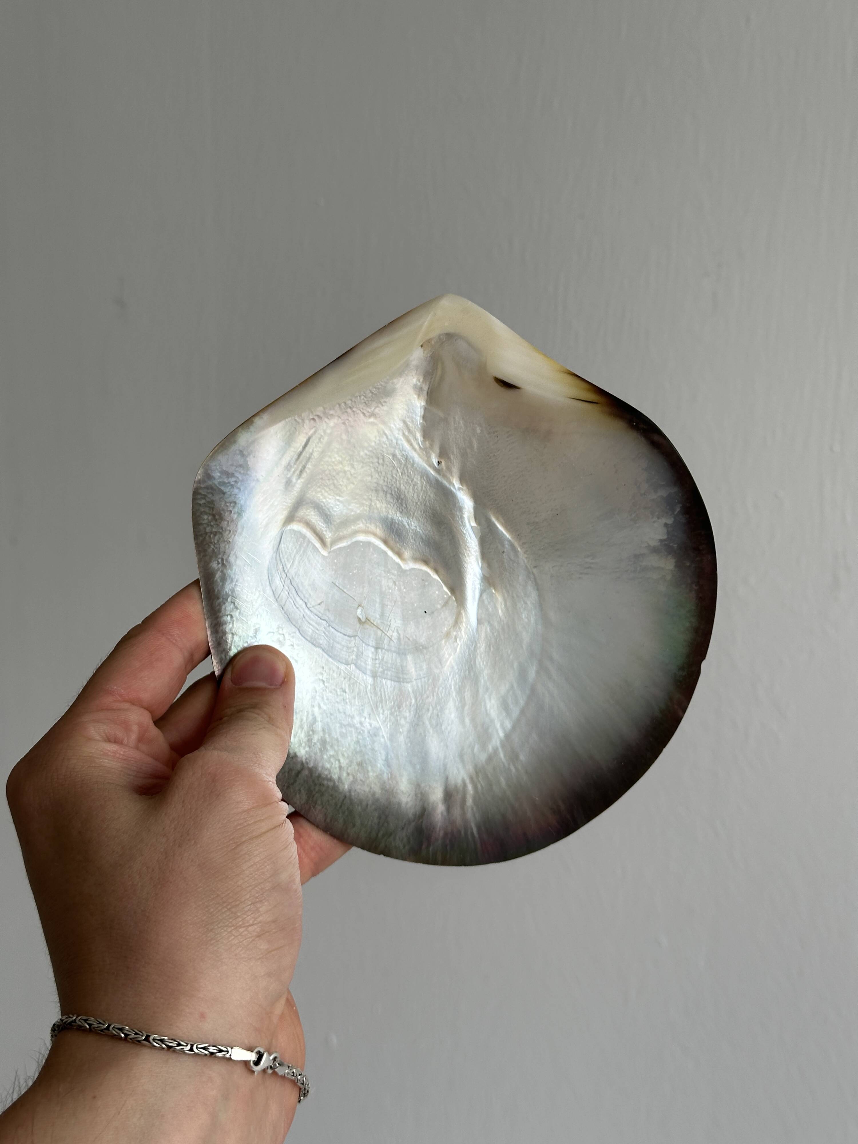 Mother-of-pearl pocket emptier