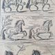 Engraving by Jean Audran (1667-1756) - After Charles Parrocel (1688-1752) - Engraving titled "Alures
